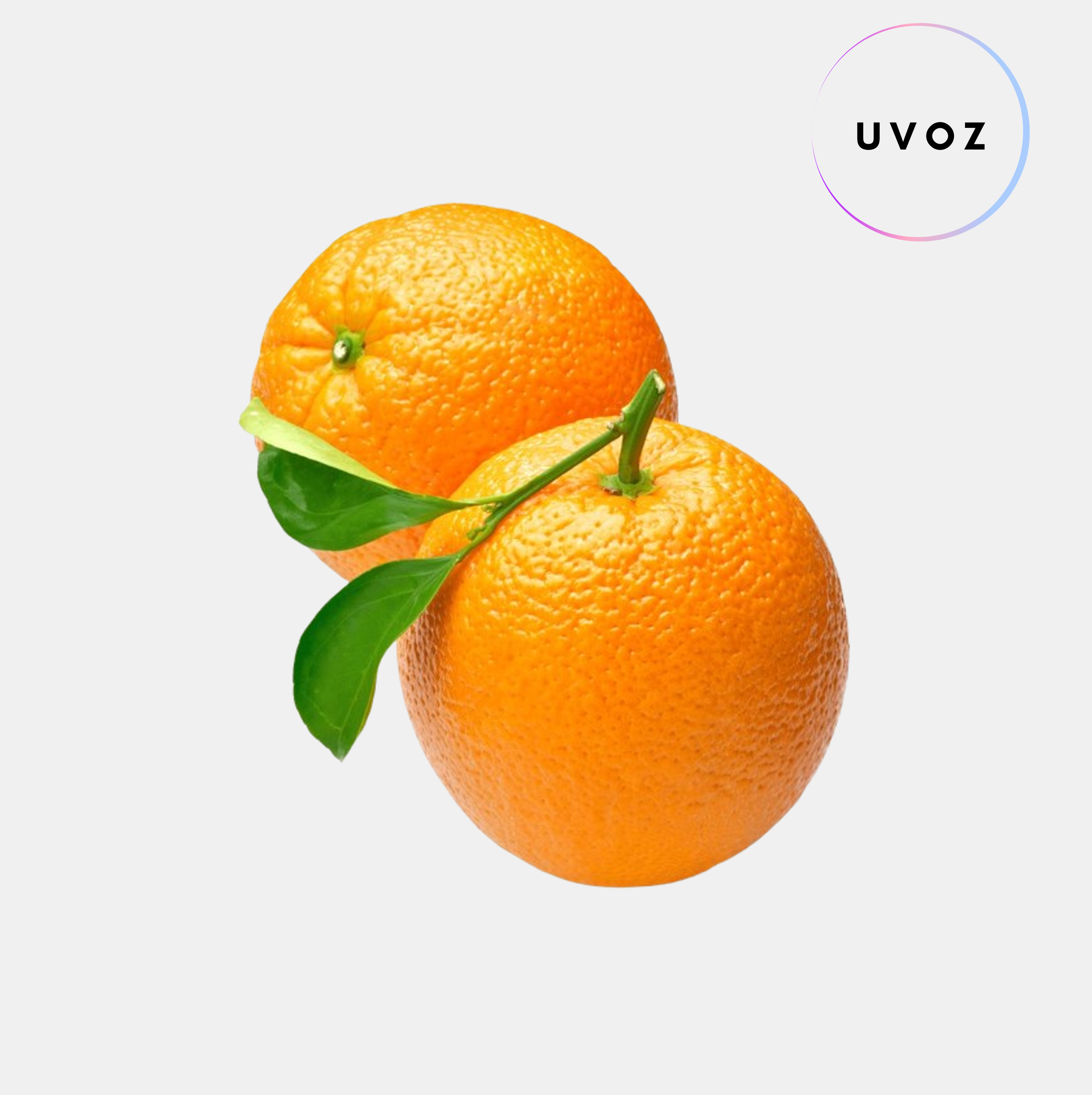 UVOZ (1)