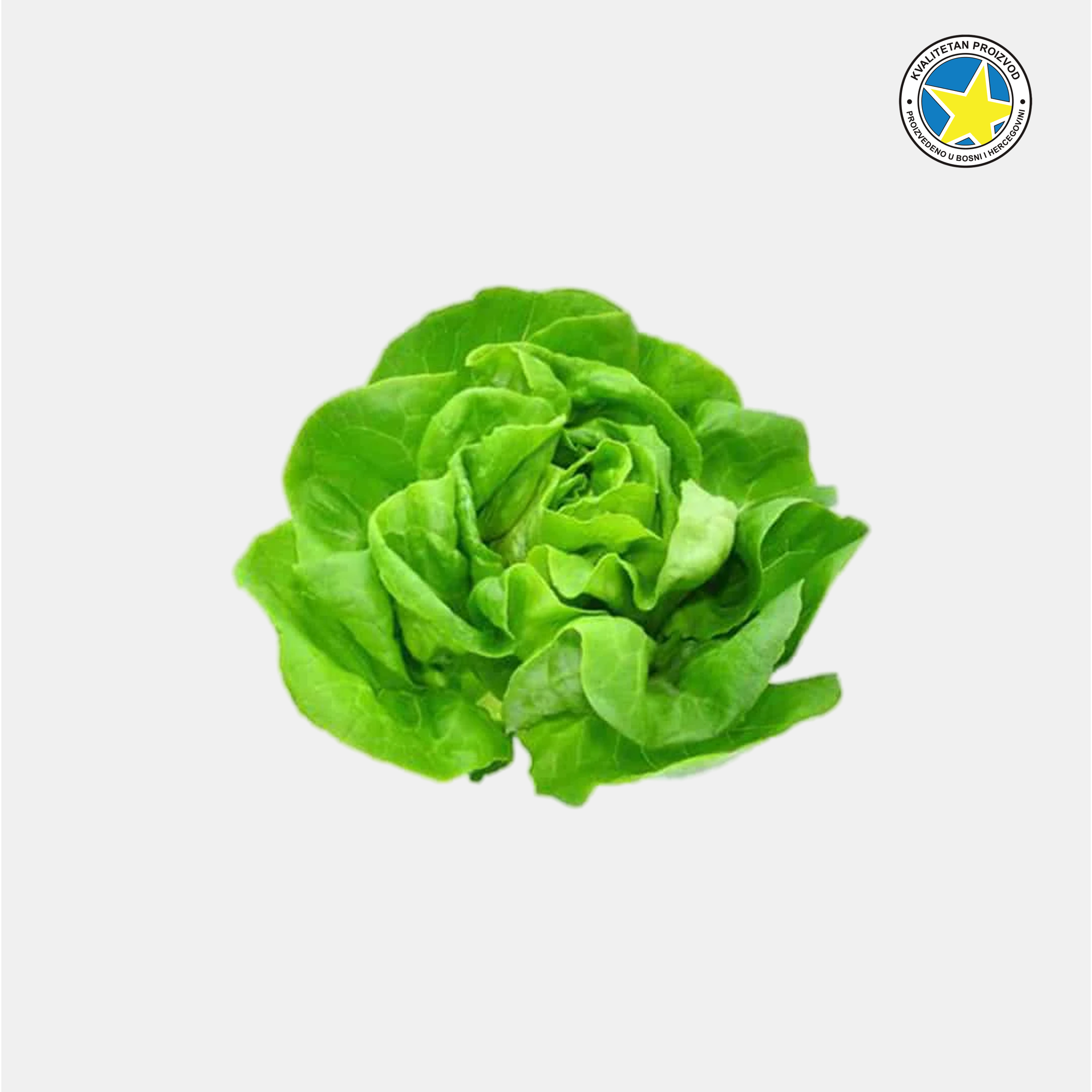 salata puterica semka